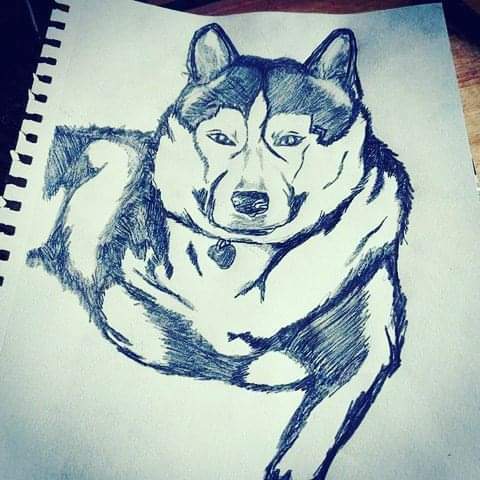 FB_IMG_1634284600237