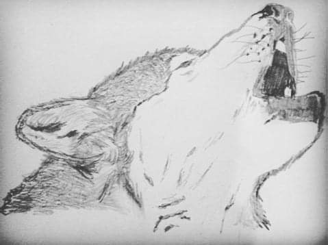 FB_IMG_1635045269288