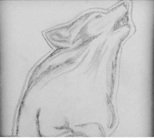 FB_IMG_1635045399500