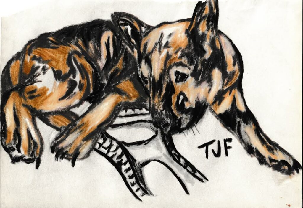 FB_IMG_1742762693356