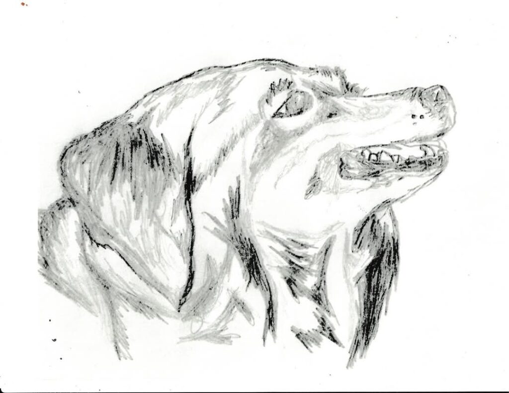 FB_IMG_1742762712111